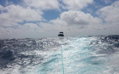 Social Media Catches Big Crowd for Fishing Competition