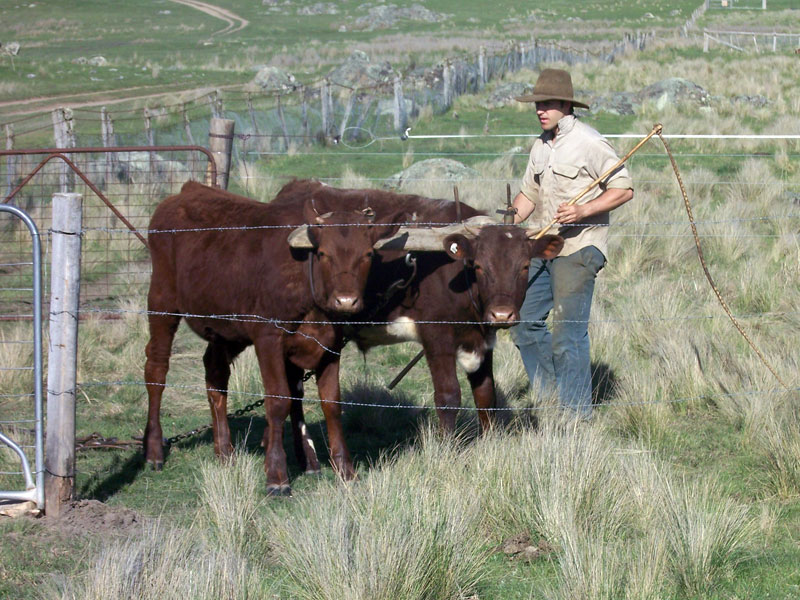 Gleneden Bullock